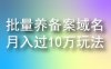 批量养备案域名月入10万玩法网络赚钱项目