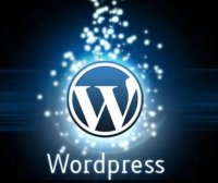 WordPress搜索页面noindex禁止搜索引擎收录解决方法