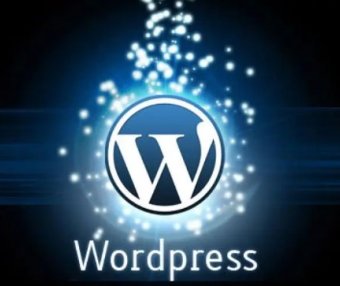 WordPress搜索页面noindex禁止搜索引擎收录解决方法