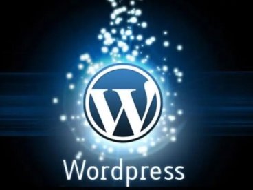WordPress搜索页面noindex禁止搜索引擎收录解决方法