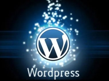WordPress搜索页面noindex禁止搜索引擎收录解决方法