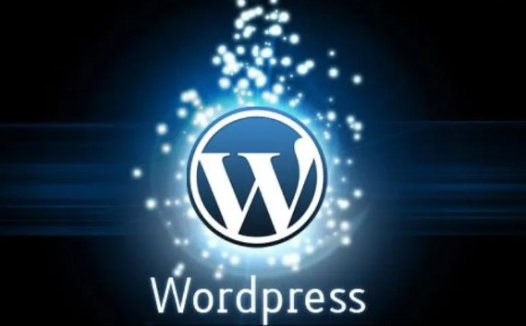 WordPress搜索页面noindex禁止搜索引擎收录解决方法